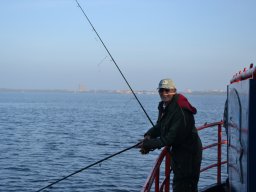 Competities HSV Alfheim